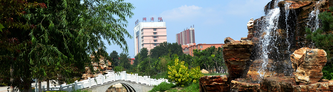 河北科技学院-食堂消费系统